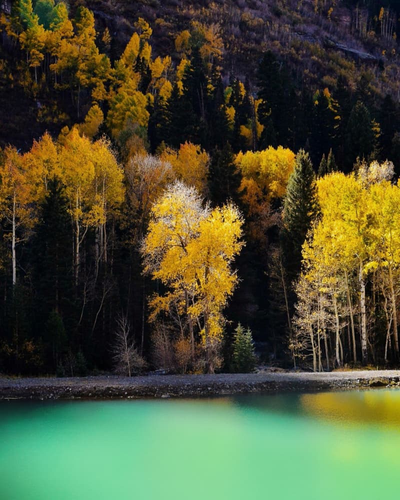 Golden Autumn Lake by Del Mundo Imagery — canvas wall art