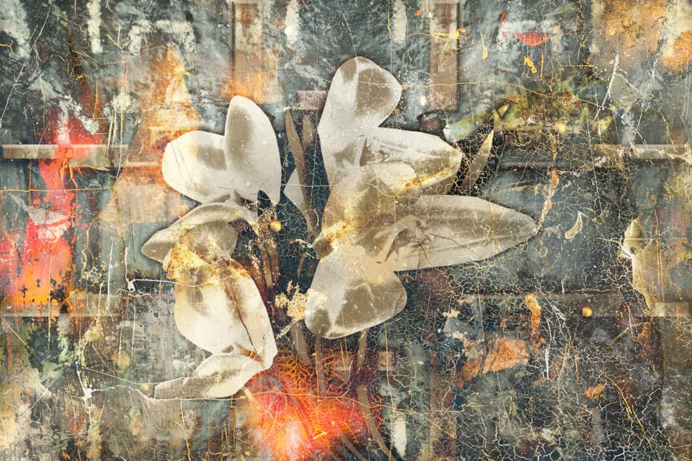 Distressed Floral Grunge by Rafal Kulik — canvas wall art