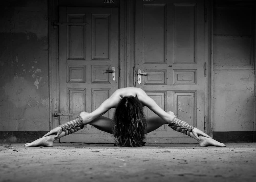 Flexible Dance Form by Michael Allmaier — canvas wall art