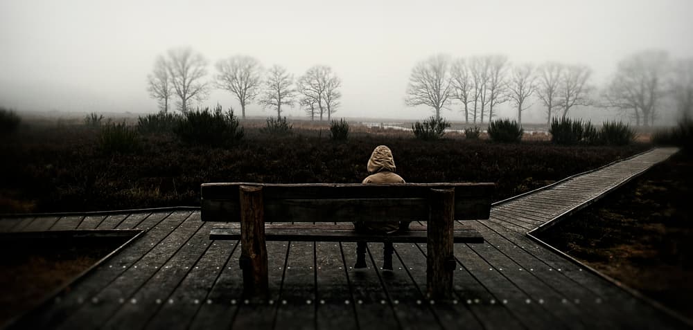 Misty Path Solitude by Wim Schuurmans — canvas wall art