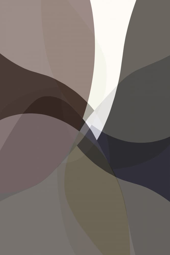 Flowing Abstract Curves by cartissi — canvas wall art