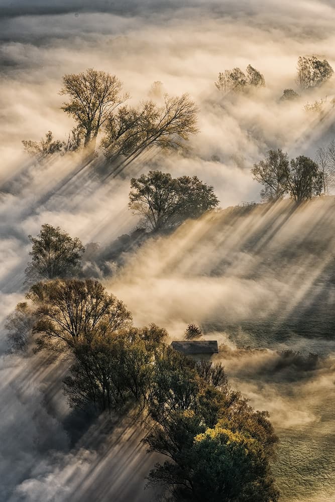 Sun Rays Through Fog by Roberto Marini — canvas wall art