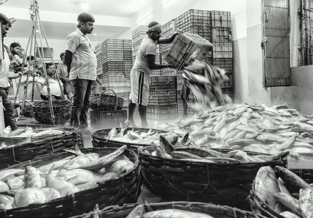 Bustling Fish Market by Shaibal Nandi — canvas wall art