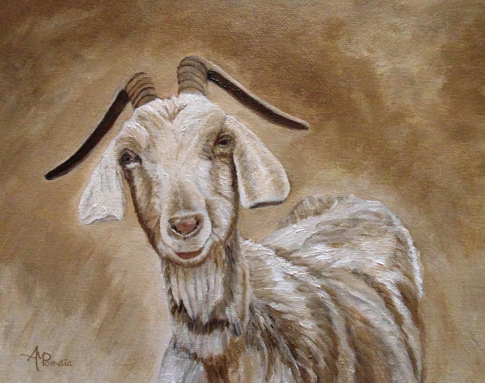 Smiling Goat Portrait by Angeles M. Pomata — canvas wall art