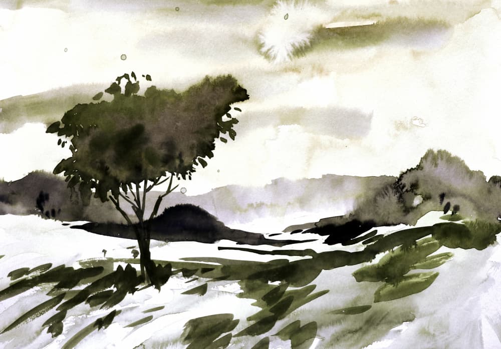 Lone Tree Landscape by Santhosh ch — canvas wall art