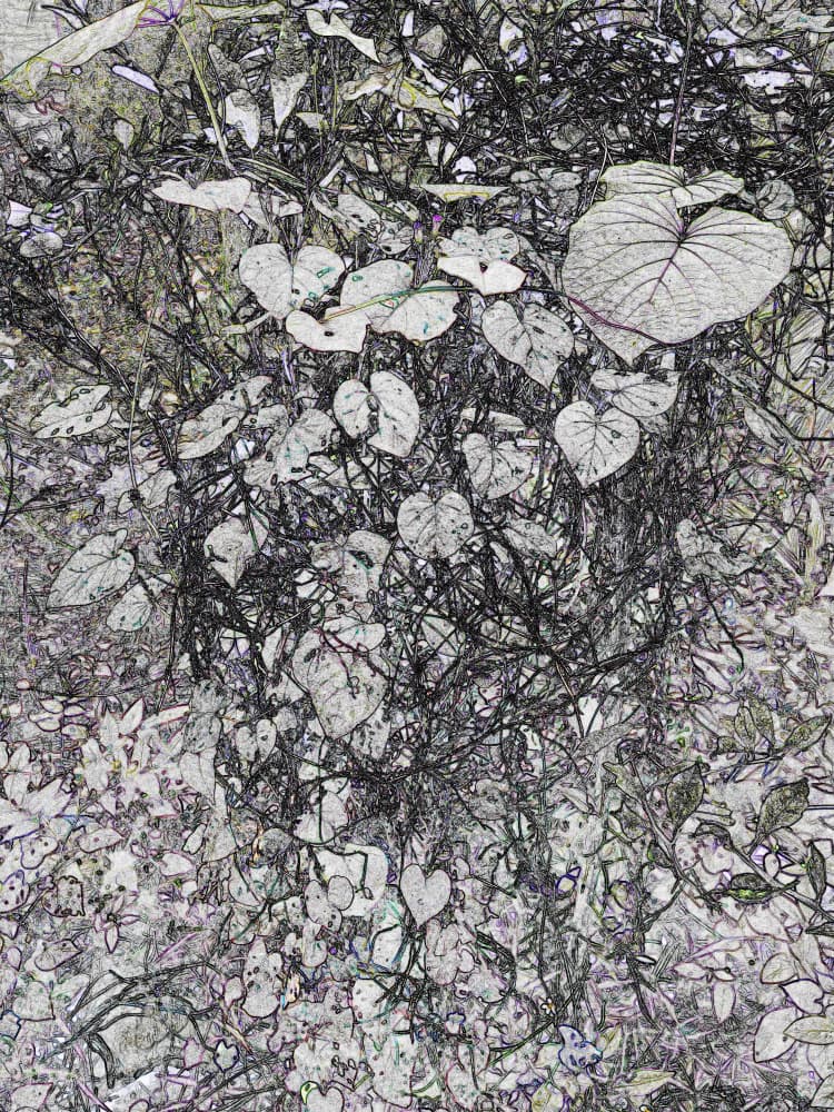Dark Botanical Growth by Santhosh ch — canvas wall art