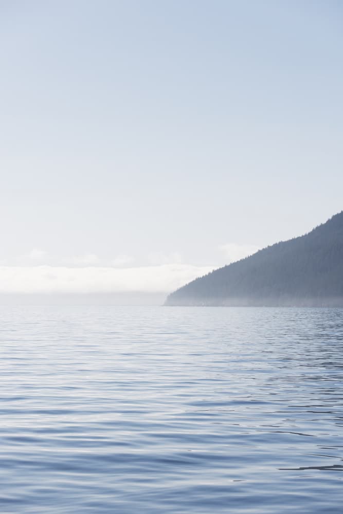 Misty Mountain Serenity by Lynann Colligan — canvas wall art