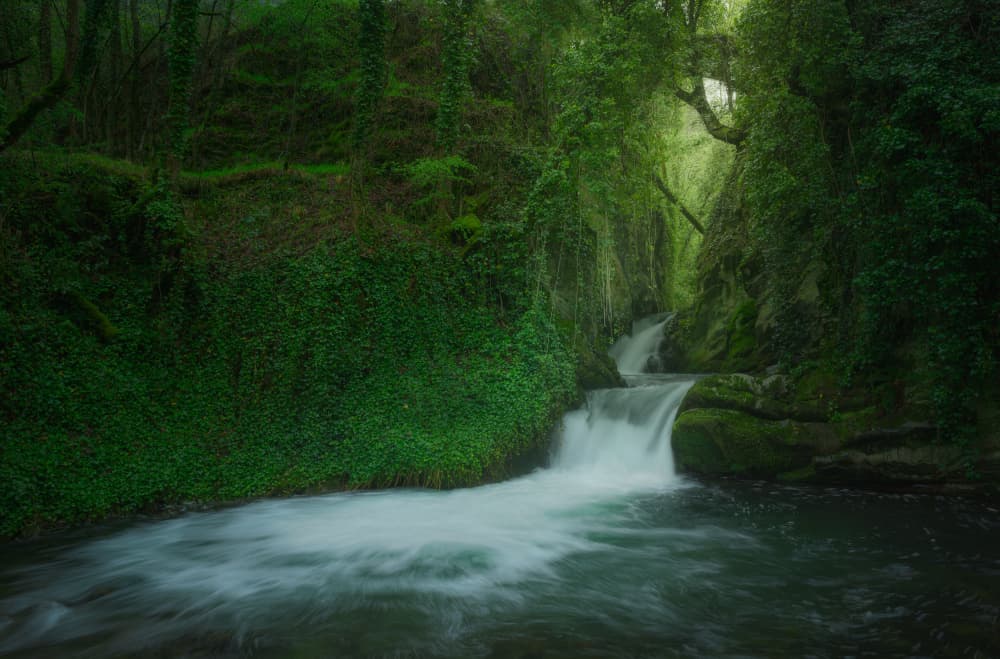 Serene Forest Falls by Carlos Hernandez Martinez — canvas wall art