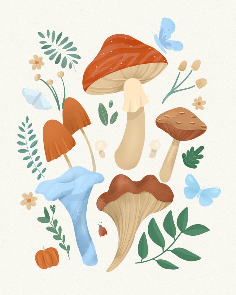 Fungi by Petra Lizde — canvas wall art