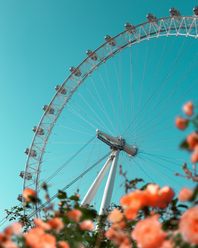 London Eye Blooms by Gabor Estefan — canvas wall art