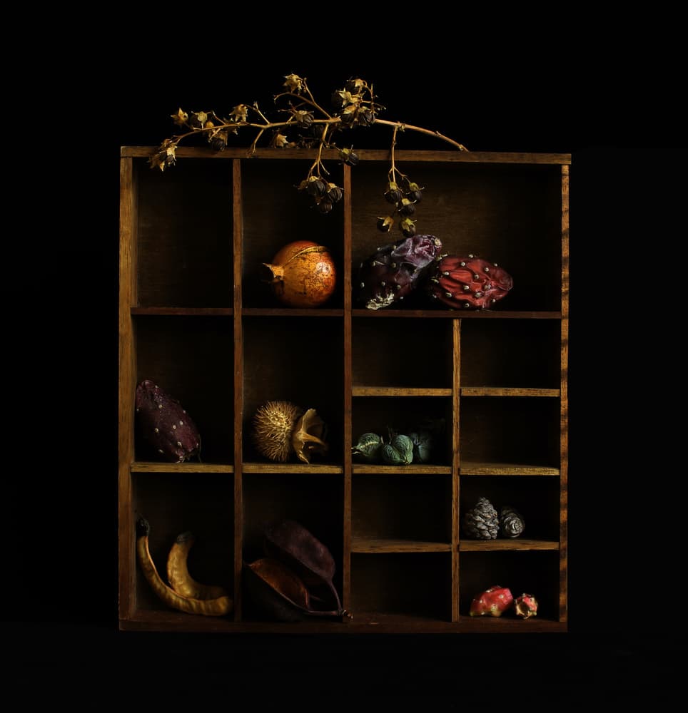 Rustic Botanical Still Life by Margaret Halaby — canvas wall art