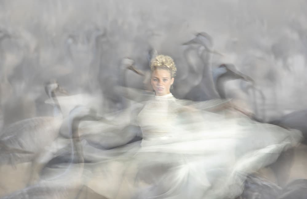 Ethereal Dancer Among Birds by Amnon Eichelberg — canvas wall art