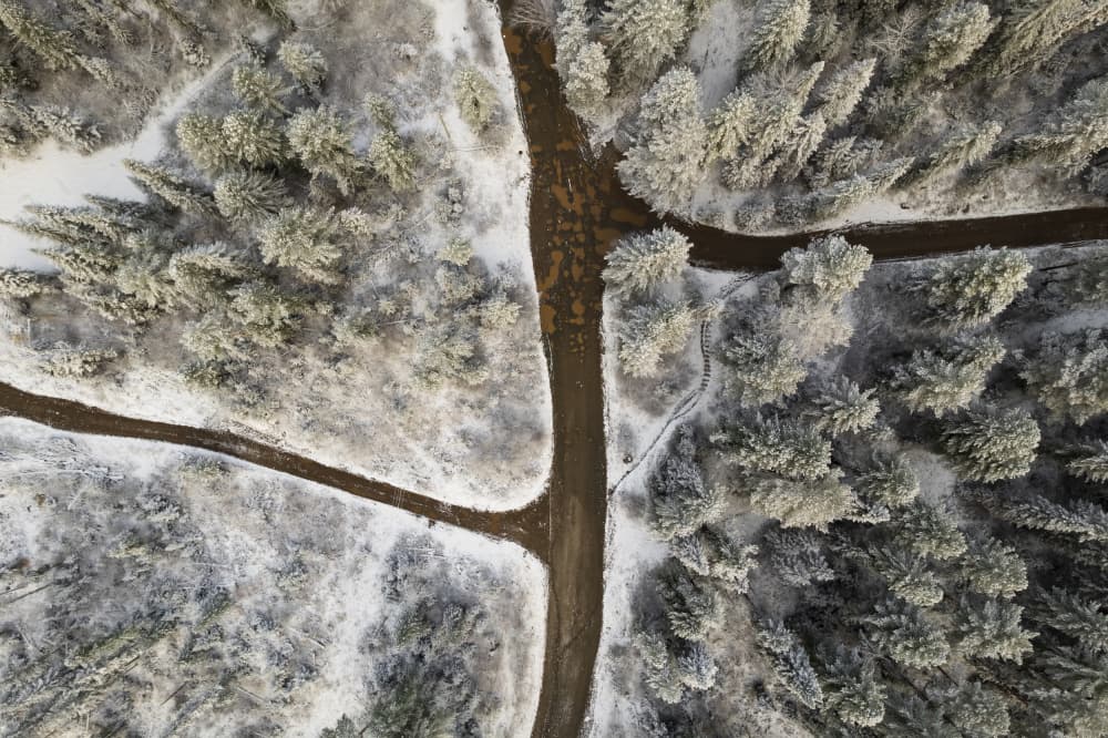 Winter Forest Crossroads by Eser Karadag — canvas wall art