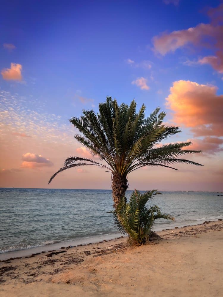 Tropical Beach Sunset by Saleem G Alfidi — canvas wall art