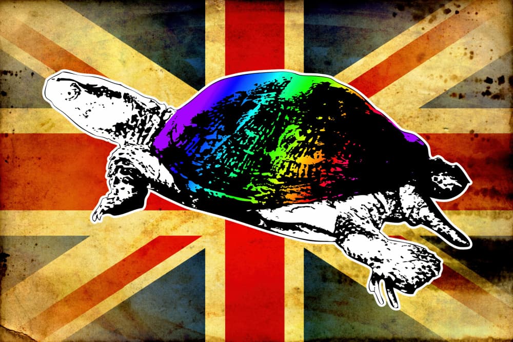 Union Jack Rainbow Turtle by Rafal Kulik — canvas wall art