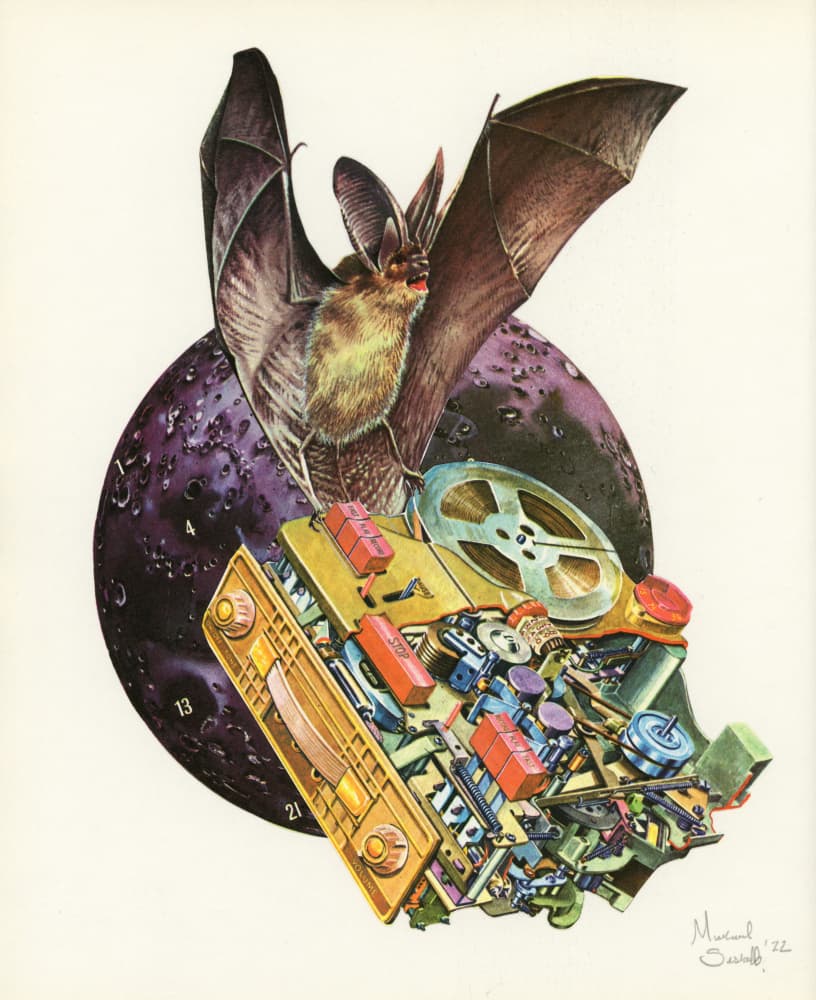 Lunar Bat Radio by Mikhail Siskoff — canvas wall art