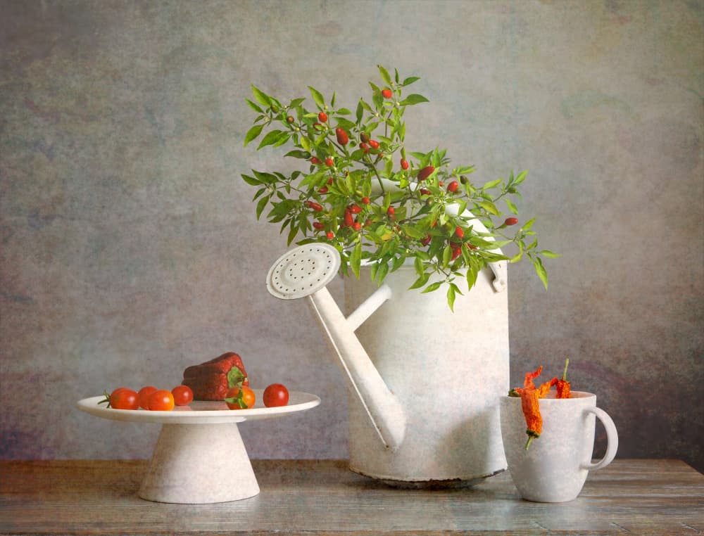 Rustic Chili Pepper Harvest by Fangping Zhou — canvas wall art