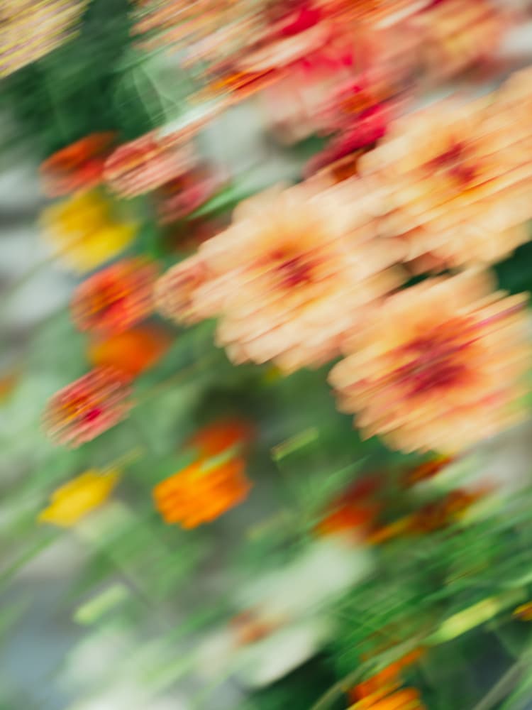 Moving Flowers 6 by Raisa Zwart — canvas wall art