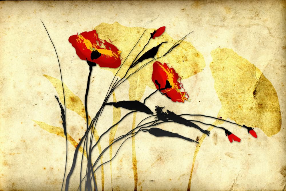 Red Poppies Aged Paper by Rafal Kulik — canvas wall art