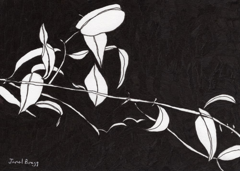 Stark Botanical Silhouette by Janel Bragg — canvas wall art
