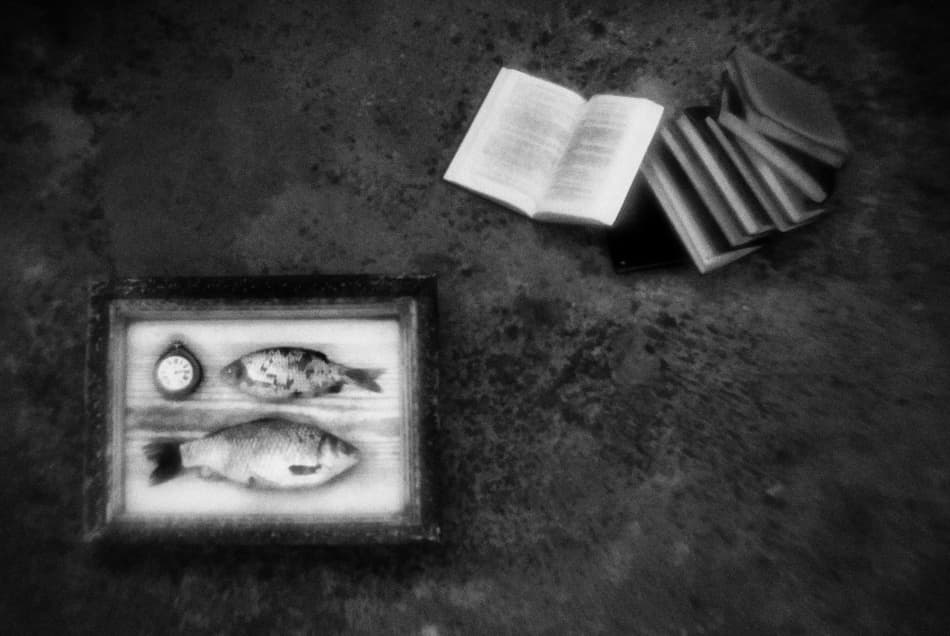 Fish Books and Watch by Codrin Lupei — canvas wall art