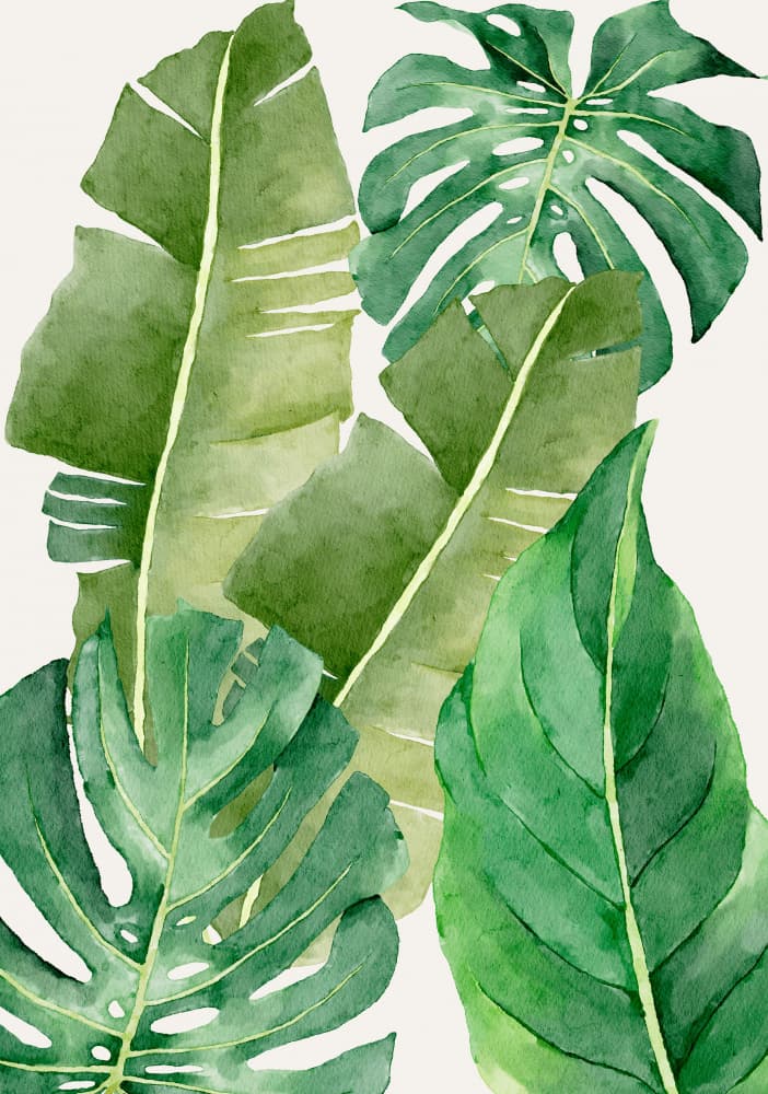Watercolor Jungle Leaves