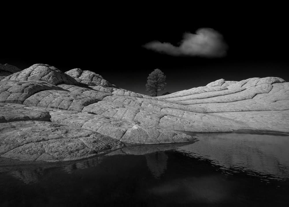 Desert Rock Reflections by Shenshen Dou — canvas wall art