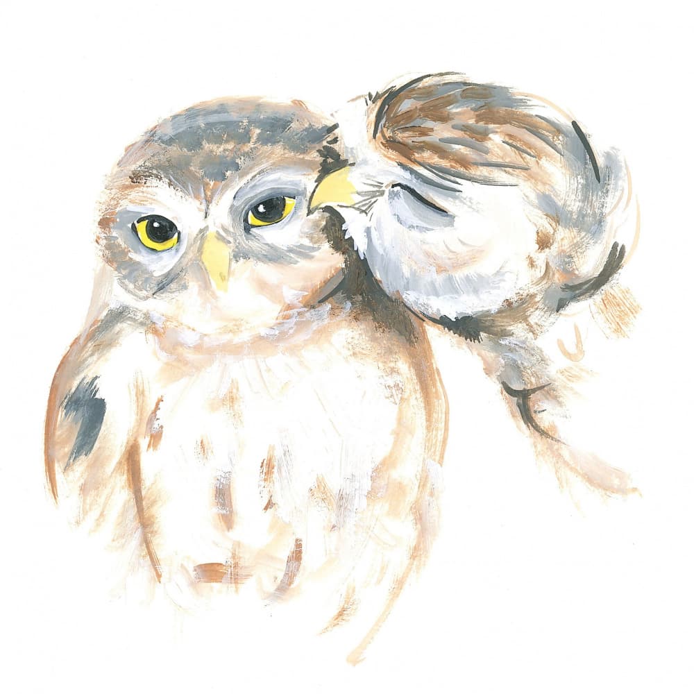 Affectionate Owls by Isabelle Brent — canvas wall art