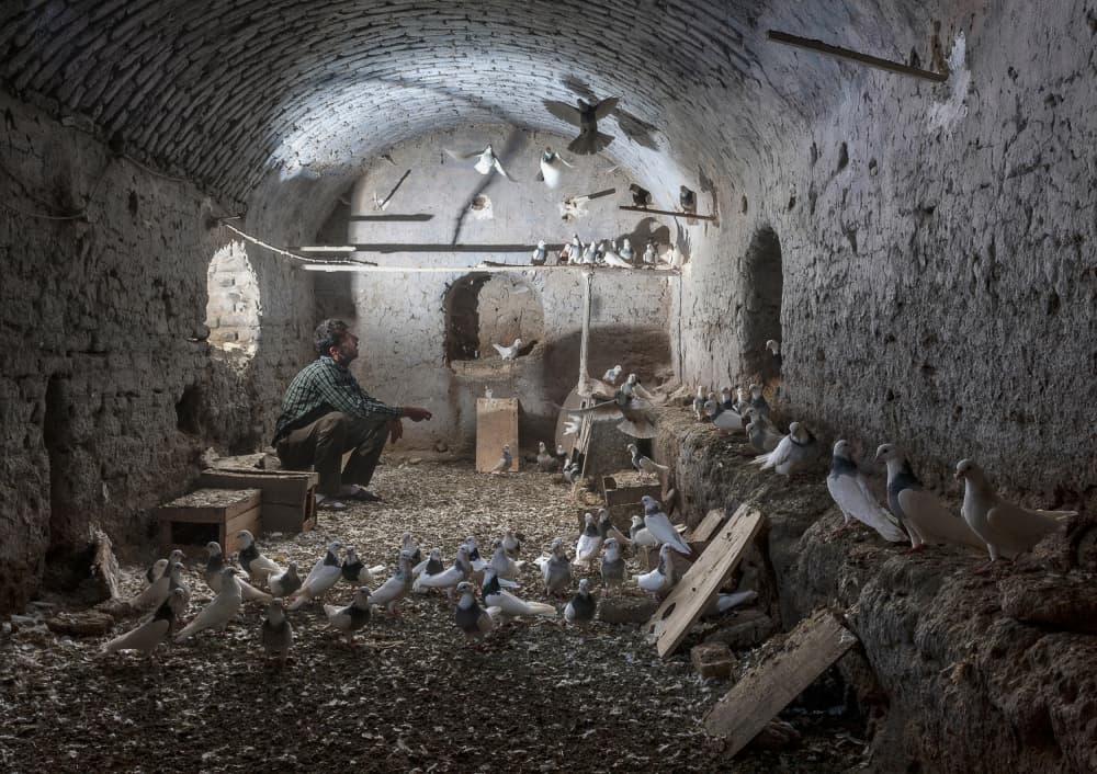 Man in Pigeon Loft by Mitra Bahmani — canvas wall art