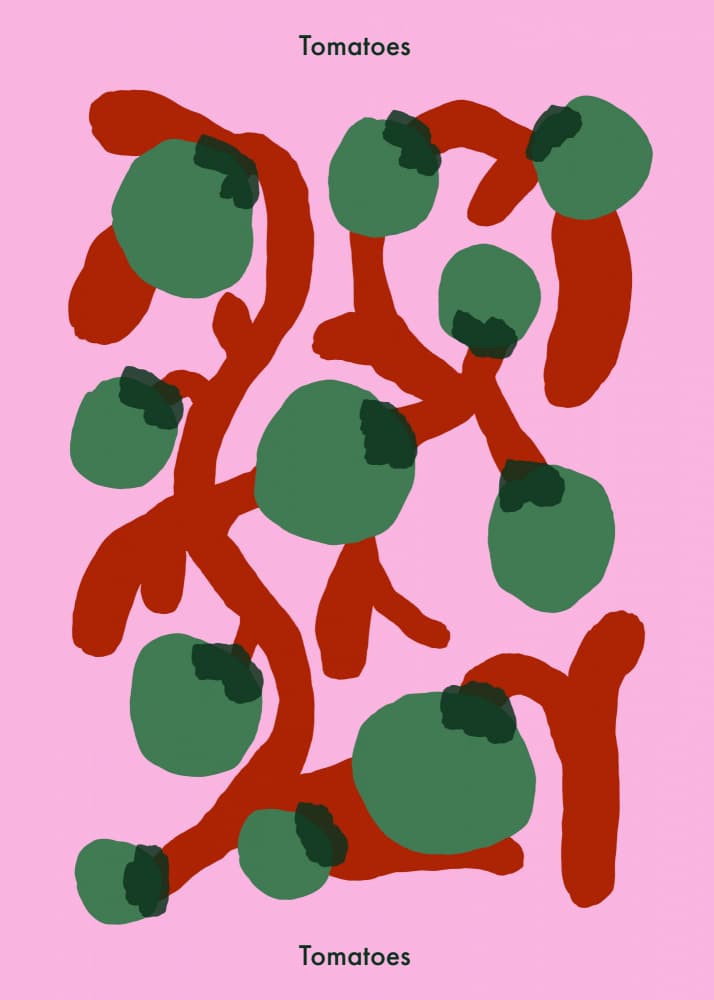 Green Tomatoes Pink by Emma Make — canvas wall art