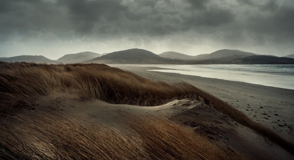 Windswept Coastal Dunes by Ulrike Eisenmann — canvas wall art
