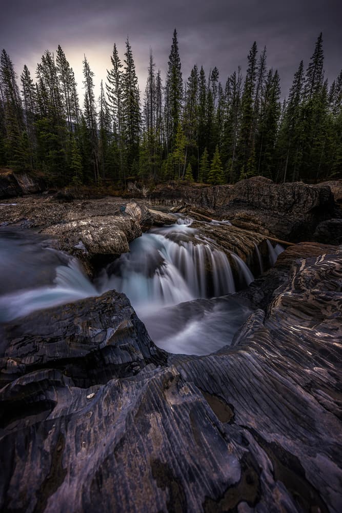 Moody Forest Waterfall by Jorge Ruiz Dueso — canvas wall art