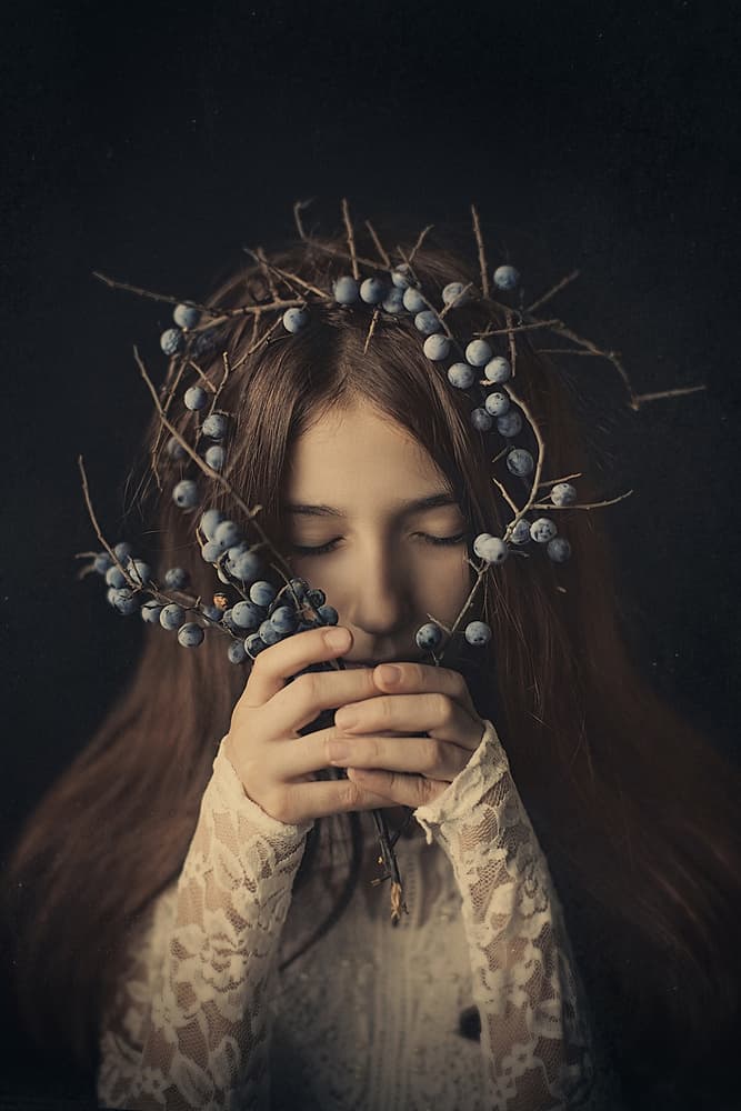Dark Berry Dream by Svetlana Bekyarova — canvas wall art