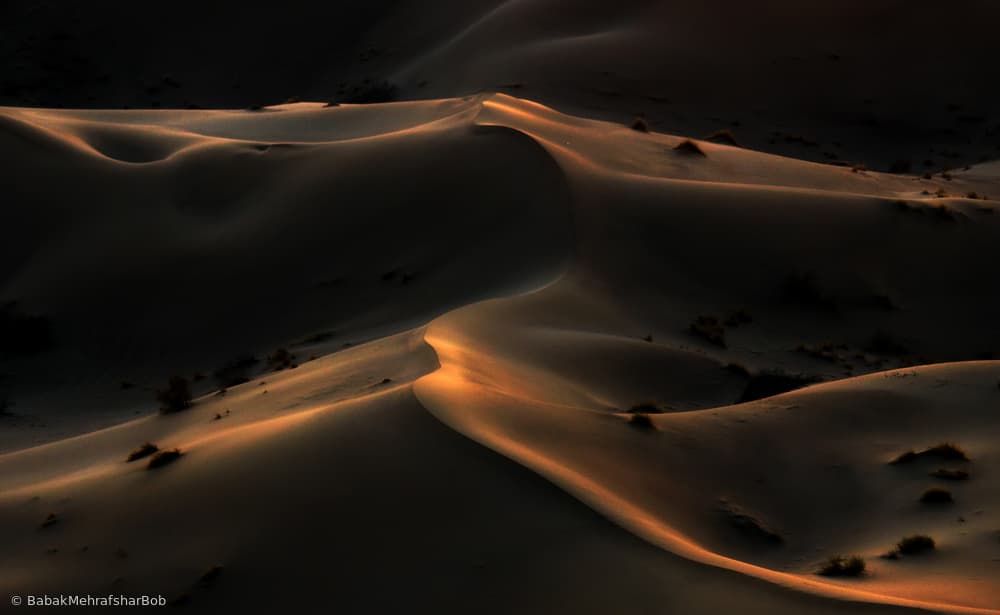 Golden Desert Dunes by Babak Mehrafshar — canvas wall art