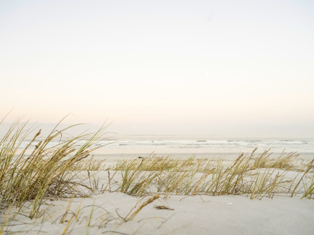 Ethereal Coastal Morning by Ryno Botha — canvas wall art
