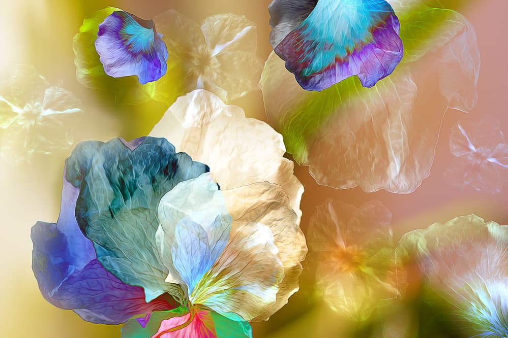 Ethereal Colorful Blooms by Ludmila Shumilova — canvas wall art