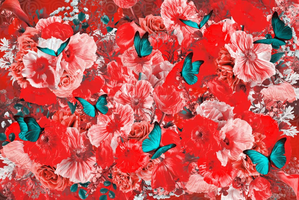 Vibrant Floral Butterflies by Sue Skellern — canvas wall art
