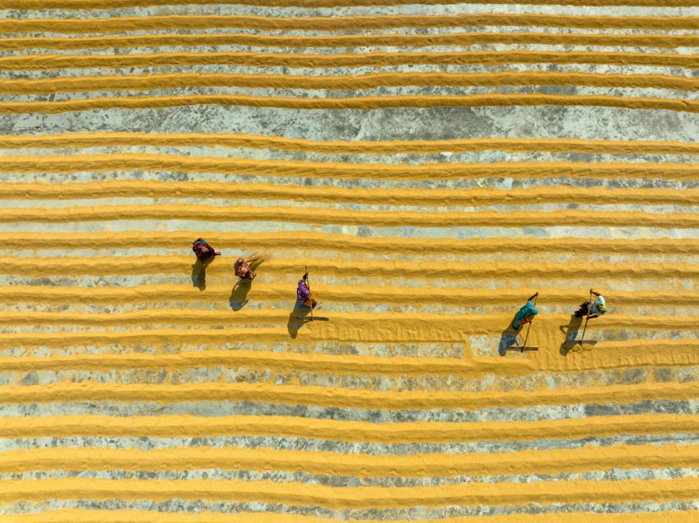 Women Drying Golden Grain by Azim Khan Ronnie — canvas wall art
