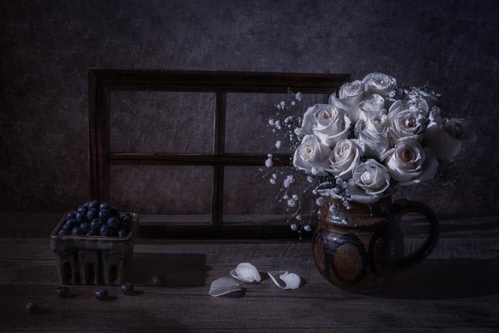 Dark Roses Blueberries by jenny j rao — canvas wall art
