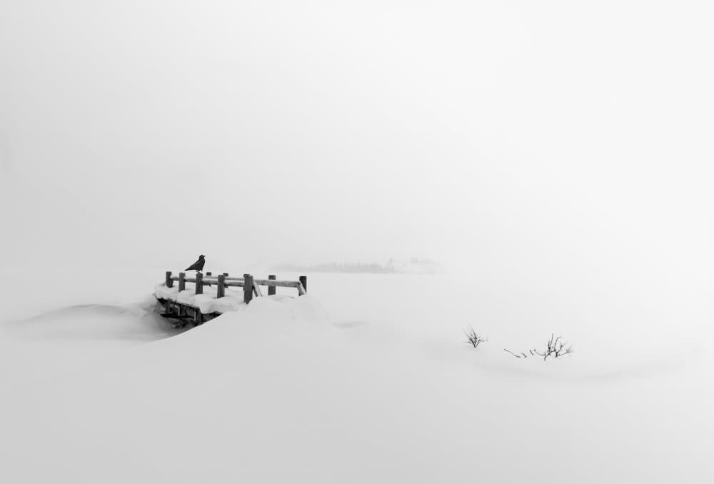Bridge, Crow and snow by Dennis Zhang — canvas wall art