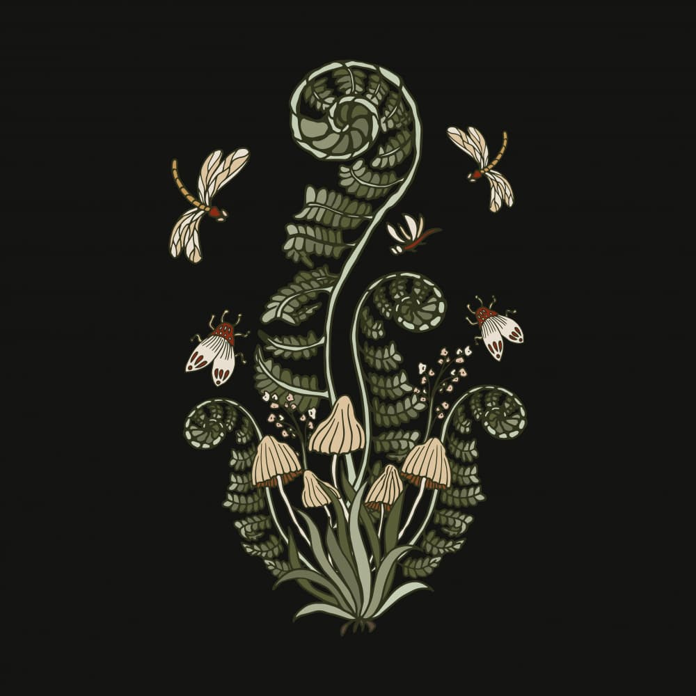 Dragonfly Ferns and Fungi by Olena Kovalova — canvas wall art