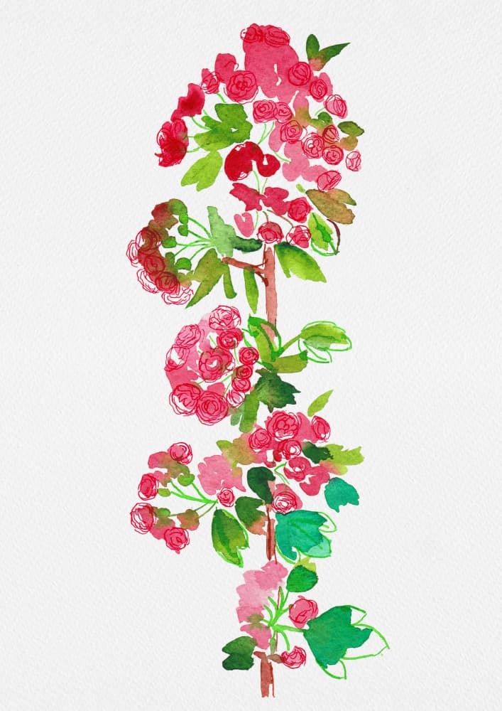 Vibrant Floral Branch by Kata Botanical — canvas wall art