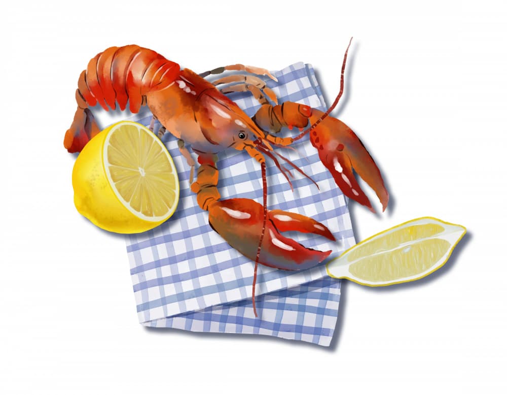 Red Lobster and Lemon by Elena Dorosh — canvas wall art