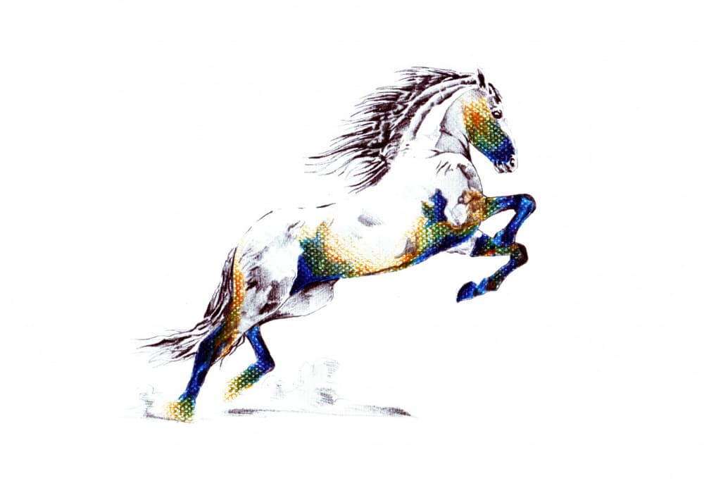 Vibrant Rearing Horse by Kulik — canvas wall art