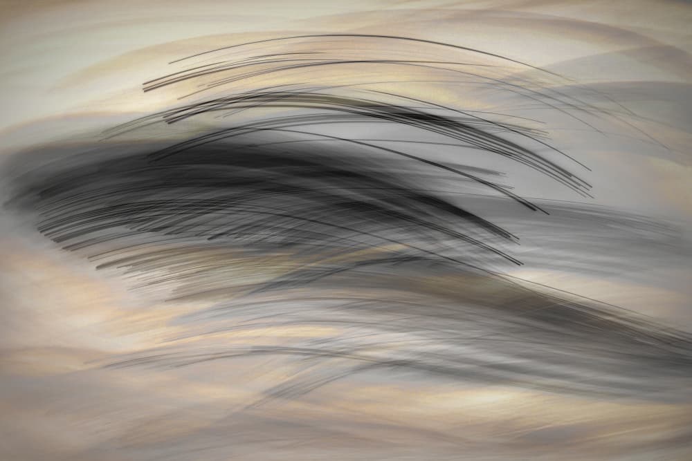 The Languages of lines by Christina Sillen — canvas wall art