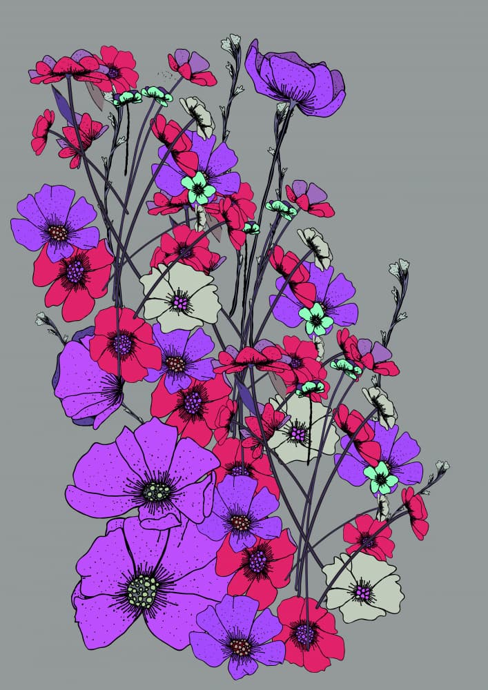 Fuchsia Purple Botanicals by Nicholas — canvas wall art