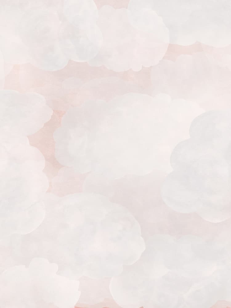 Fluffy Pink Clouds by Karen Menzenbach — canvas wall art