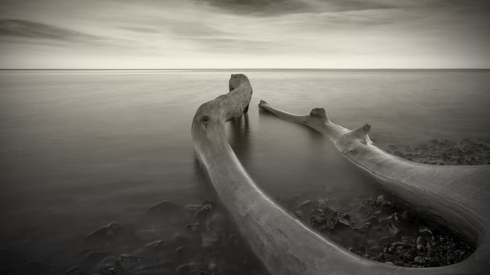 Serene Coastal Driftwood by Mari O` Benz — canvas wall art