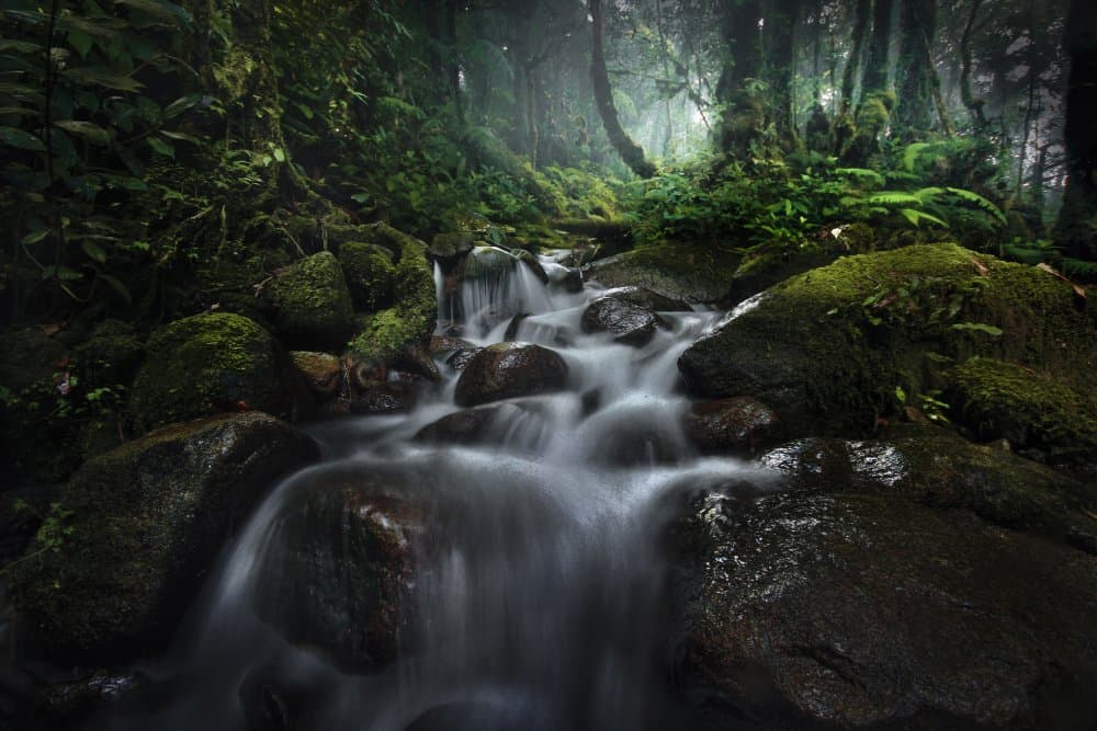 Misty Forest Stream by Hary Muhammad — canvas wall art