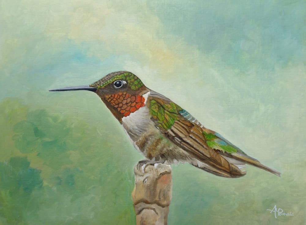 Vibrant Hummingbird Perched by Angeles M. Pomata — canvas wall art
